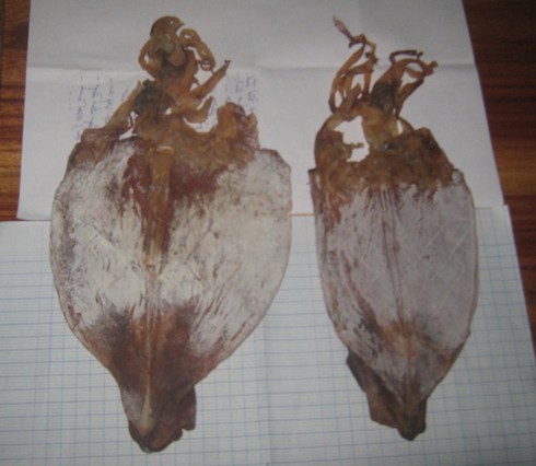 Mực khô làm bằng… cao su - ảnh 1