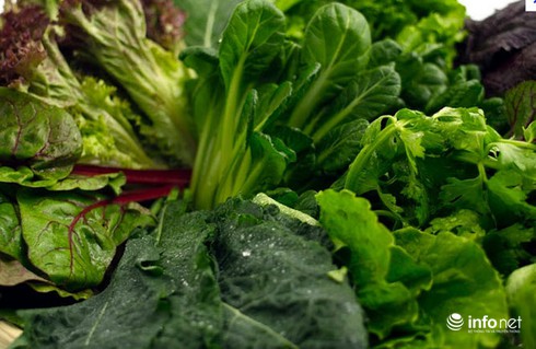 Bà bầu nên ăn gì? - ảnh 1