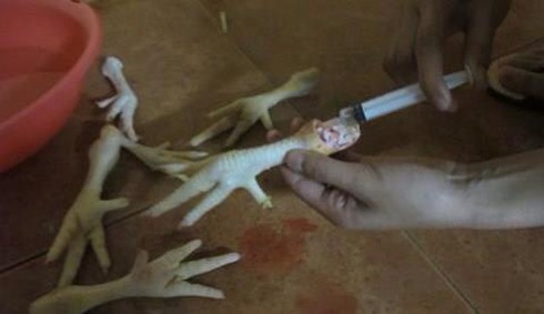 Kinh hoàng “công nghệ độc địa” vô nhân tính của những thương lái! - ảnh 10