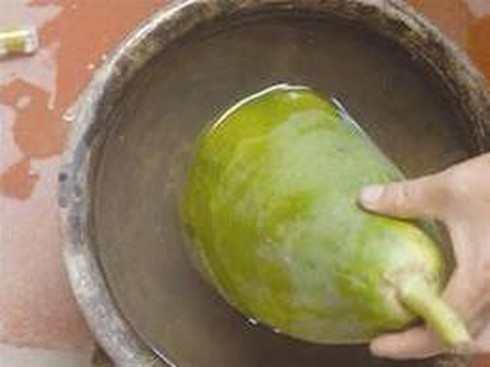 Kinh hoàng “công nghệ độc địa” vô nhân tính của những thương lái! - ảnh 8