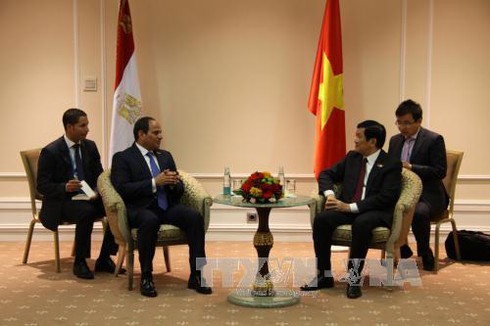 Thúc đẩy quan hệ chiến lược Việt-Nga trong giai đoạn mới - ảnh 2