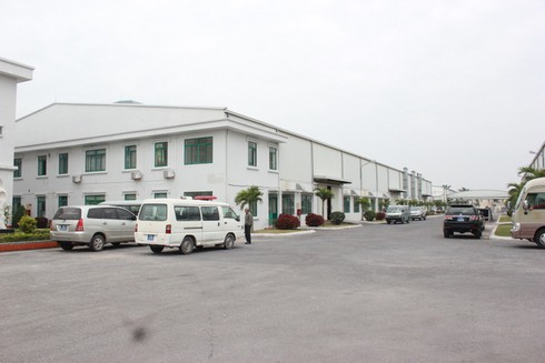 Đột kích đại công xưởng sản xuất đĩa đồi trụy ở Đồ Sơn - ảnh 1