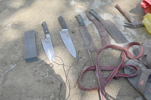 Trộm bò, xẻ thịt tại chỗ - thủ đoạn mới của tội phạm - ảnh 1