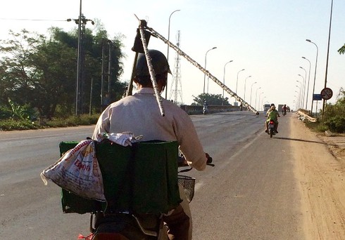 Tận diệt chim sẻ - ảnh 1