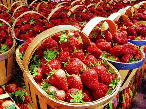 Đặc sản Đà Lạt và địa chỉ tin cậy mua làm quà - ảnh 1