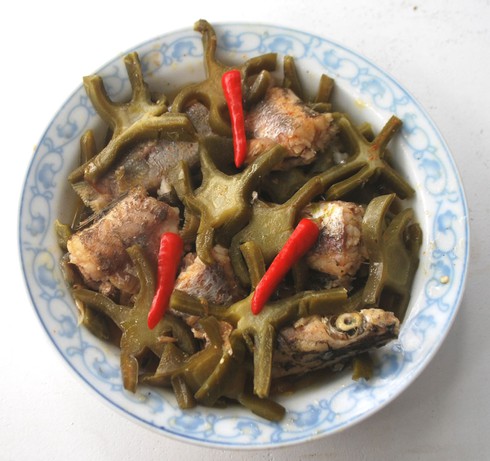 Bát canh xương rồng - ảnh 2