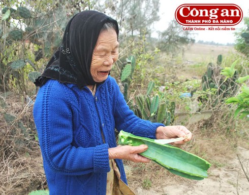 Bát canh xương rồng - ảnh 1