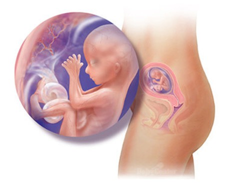 Cô gái tử vong cùng một thai nhi 5 tháng trong bồn cầu toilet - ảnh 1