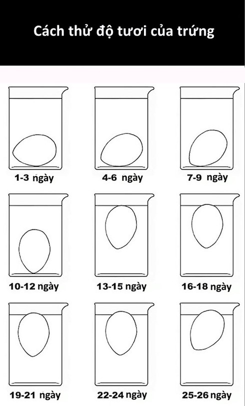 Cách phân biệt trứng tươi và trứng cũ - ảnh 2