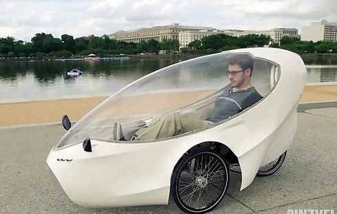 Rọ mõm “biến” chó thành sói - ảnh 2