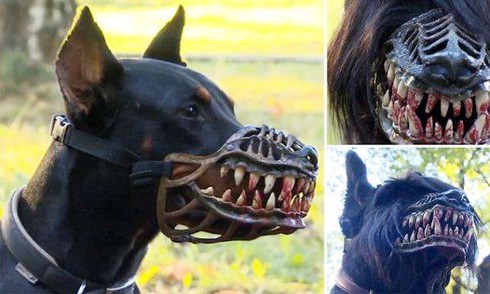 Rọ mõm “biến” chó thành sói - ảnh 1