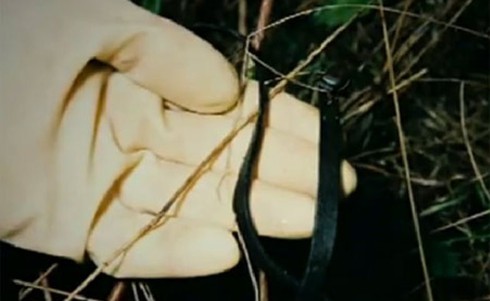 Giết mẹ ruột vì cho rằng không yêu thương mình? - ảnh 1