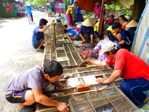 Thịt chuột đồng ra phố - ảnh 5