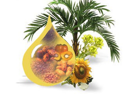 Ăn mỡ lợn có tốt không? - ảnh 4