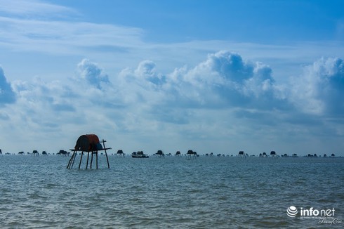 Đồng Châu, Cồn Vành đẹp hoang sơ mùa gió lạnh - ảnh 2