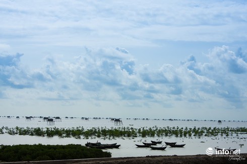 Đồng Châu, Cồn Vành đẹp hoang sơ mùa gió lạnh - ảnh 3