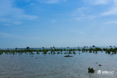 Đồng Châu, Cồn Vành đẹp hoang sơ mùa gió lạnh - ảnh 4