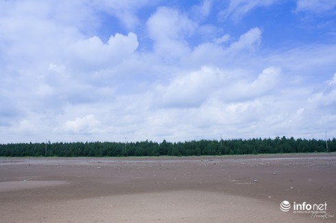 Đồng Châu, Cồn Vành đẹp hoang sơ mùa gió lạnh - ảnh 6