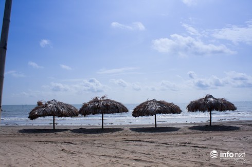 Đồng Châu, Cồn Vành đẹp hoang sơ mùa gió lạnh - ảnh 8