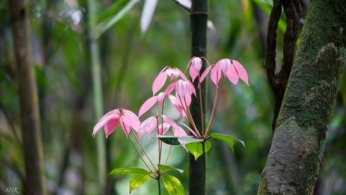 4 địa điểm