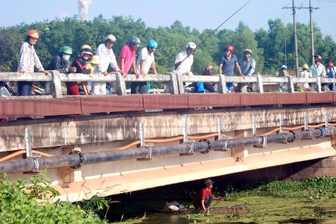 Cá chết trên kênh Tây - ảnh 2