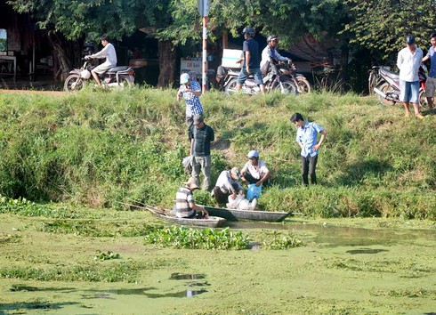 Cá chết trên kênh Tây - ảnh 3