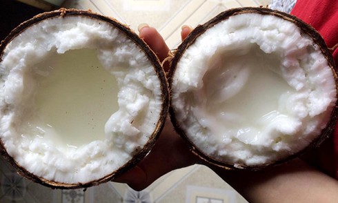Dừa sáp hơn 200.000 đồng một trái vẫn cháy hàng - ảnh 1