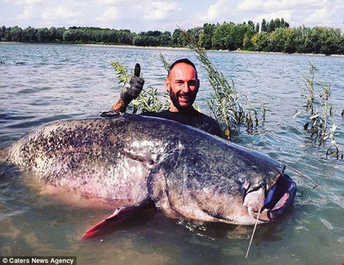 Vật lộn 1 giờ để bắt cá tra