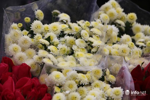 Hoa cúc có ý nghĩa tượng trưng gì? - ảnh 2