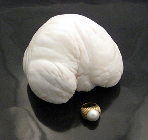 10 món trang sức ngọc trai đắt nhất thế giới - ảnh 5