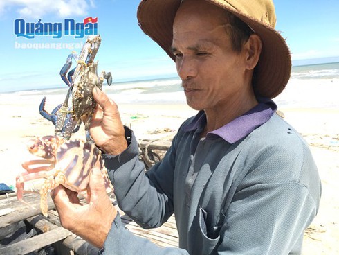 Mùa đánh bắt ghẹ ở biển Đức Minh - ảnh 1