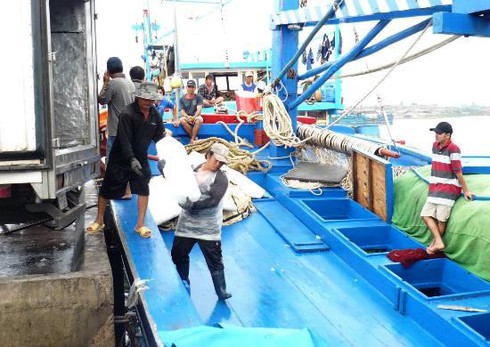 Cá ngừ đại dương được mùa, được giá - ảnh 2