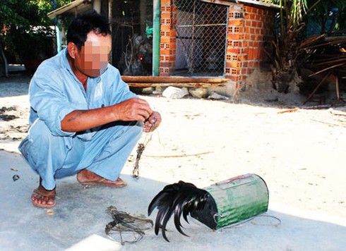 Thưa dần tiếng gáy gà rừng - ảnh 2