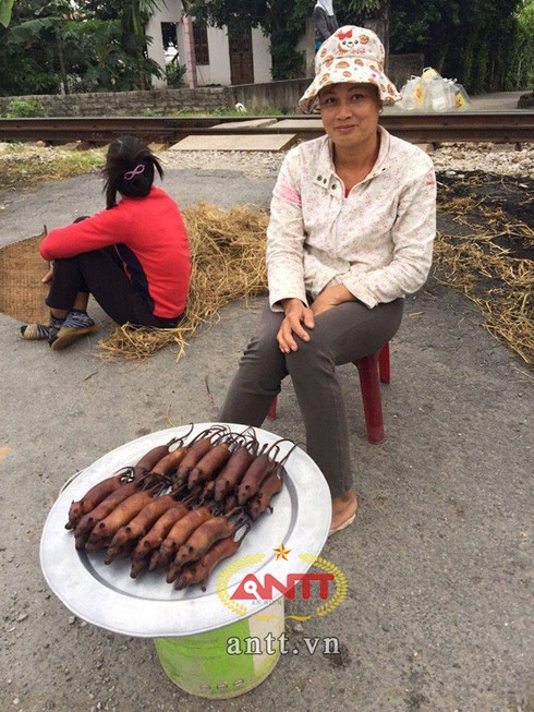 Chuột nửa cân thôn Nhất mê hoặc dân sành ăn - ảnh 1
