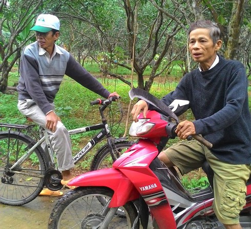 Vườn nấm