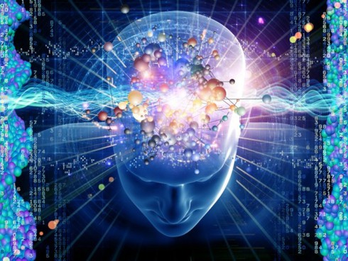 Não người có thể lưu giữ toàn bộ dữ liệu trên Internet - ảnh 1