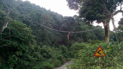 Shop TIN mồng 5 Tết: Đừng biến chúng ta thành