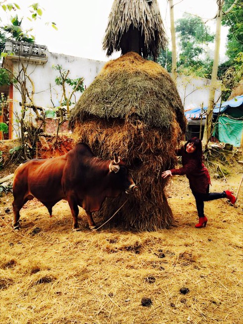 Shop TIN mồng 5 Tết: Đừng biến chúng ta thành