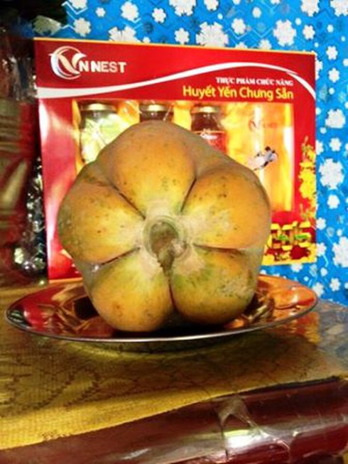 Quả đu đủ tự nhiên có hình hoa mai 5 cánh - ảnh 1