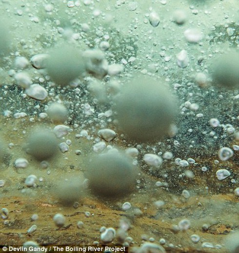 Kỳ lạ dòng sông quanh năm sôi sục giữa rừng Amazon - ảnh 4