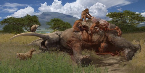 Tại sao loài người chúng ta lại ăn thịt? - ảnh 3