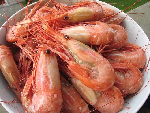 Mẹo chọn tôm biển và cách nấu ngon nhất - ảnh 1
