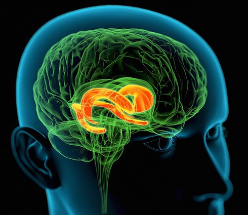 Giải mã giấc mơ dưới góc độ khoa học - ảnh 1