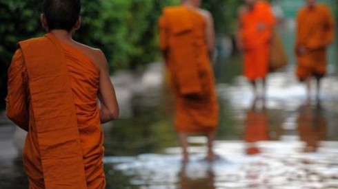 Giăng bẫy thầy chùa bằng