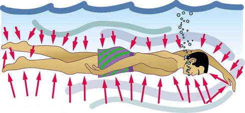 Tại sao chúng ta không thể lặn sâu như cá? - ảnh 1