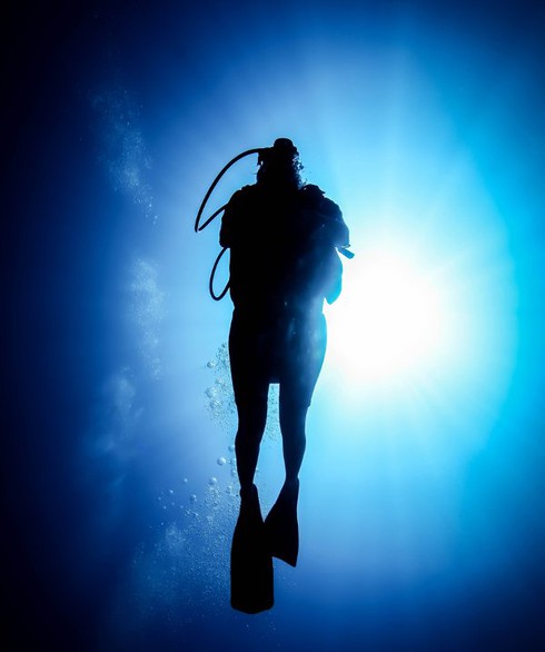 Tại sao chúng ta không thể lặn sâu như cá? - ảnh 4