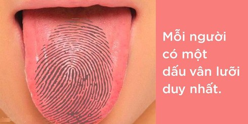 Những sự thật thú vị về cơ thể con người - ảnh 2