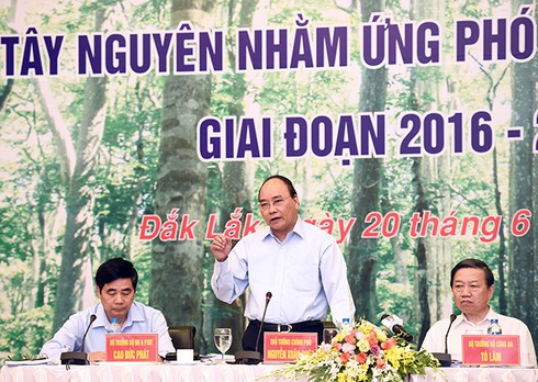 Thủ tướng dự Hội nghị về khôi phục rừng biển bền vững Tây Nguyên - ảnh 1