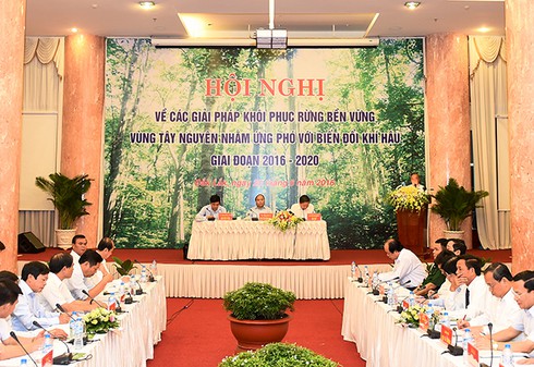 Thủ tướng dự Hội nghị về khôi phục rừng biển bền vững Tây Nguyên - ảnh 2