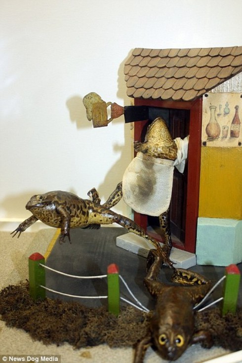 Độc đáo bảo tàng… ếch tại Croatia - ảnh 4